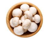 Button Mushroom (Chatu)