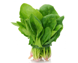 Green Spinach Leaves (palanga saga) - 1Bundle