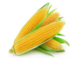 Fresh Sweet Corn - 4pcs