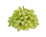 Grapes White Seedless (Premium)
